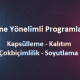 Nesne Yönelimli Programlamanın Dört İlkesini gösteren arkaplan